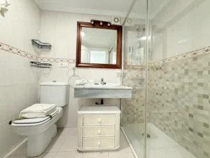 Cuarto de baño principal completo con sanitarios y plato de ducha en piso céntrico