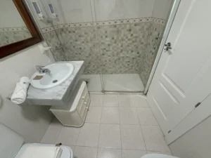 Cuarto de baño principal completo con sanitarios y plato de ducha en piso céntrico