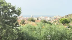 Vistas